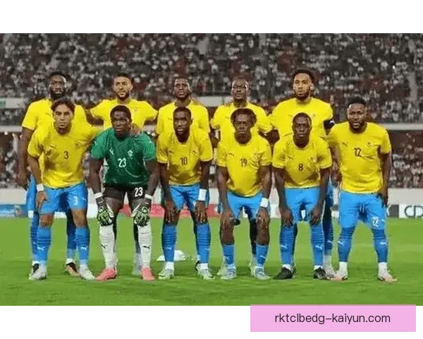 非洲杯决赛精彩回顾，激情对决与历史时刻交织表现亮眼